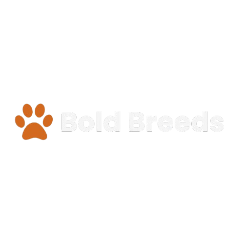 Bold Breeds